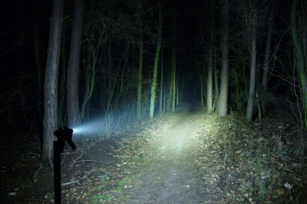 Optyka SPOT do lampki S21B dioda SST-40