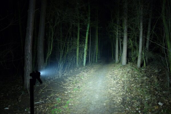 Optyka MEDIUM lampki S21B S21E SST-40 XHP50.3 HD