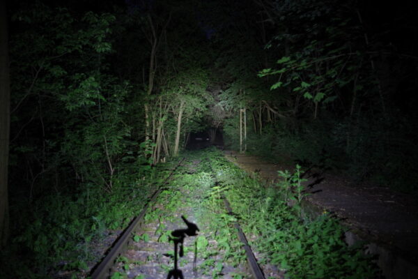 12200996569